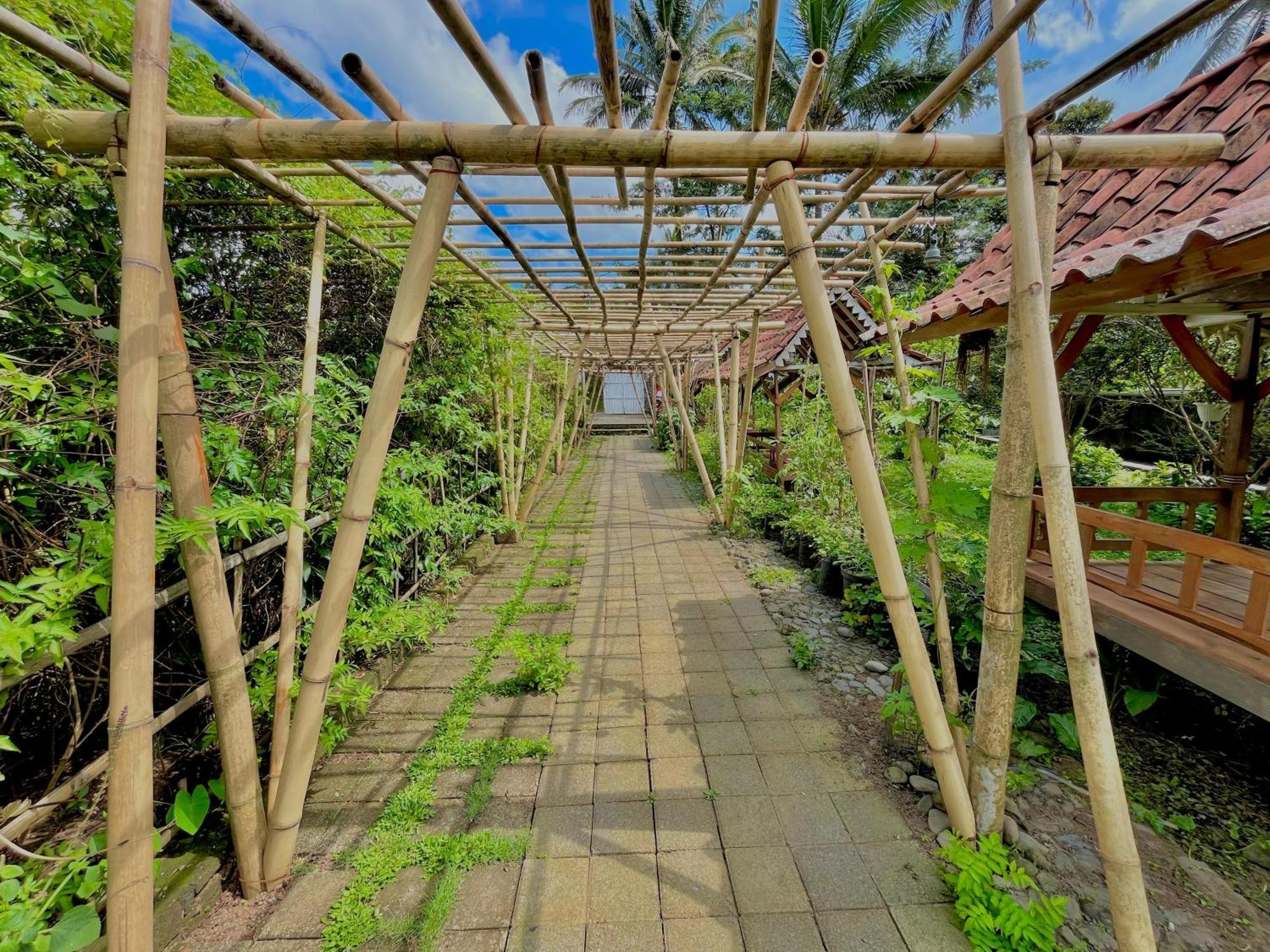 Pondok Isoke Bunggalow Banyuwangi  Extérieur photo