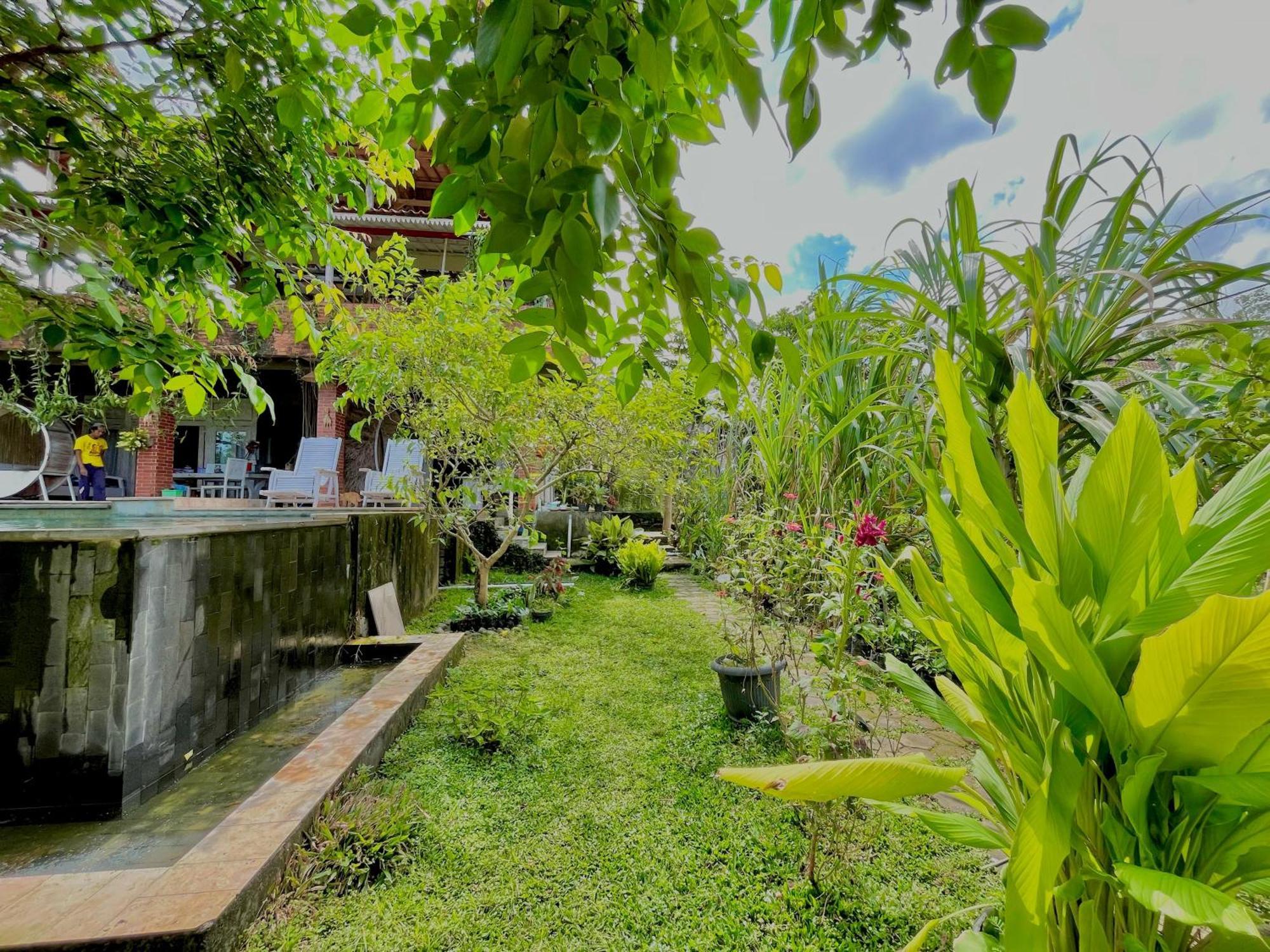 Pondok Isoke Bunggalow Banyuwangi  Extérieur photo