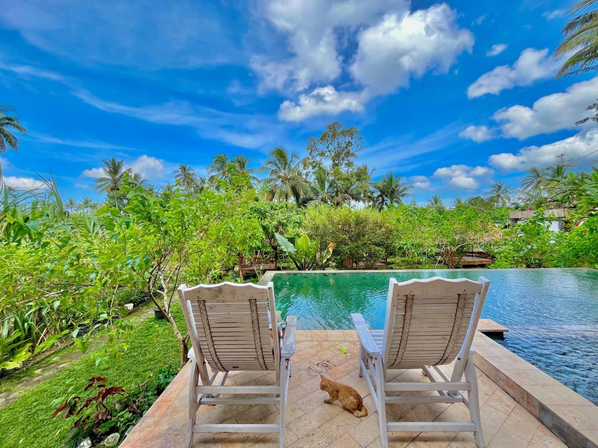 Pondok Isoke Bunggalow Banyuwangi  Extérieur photo