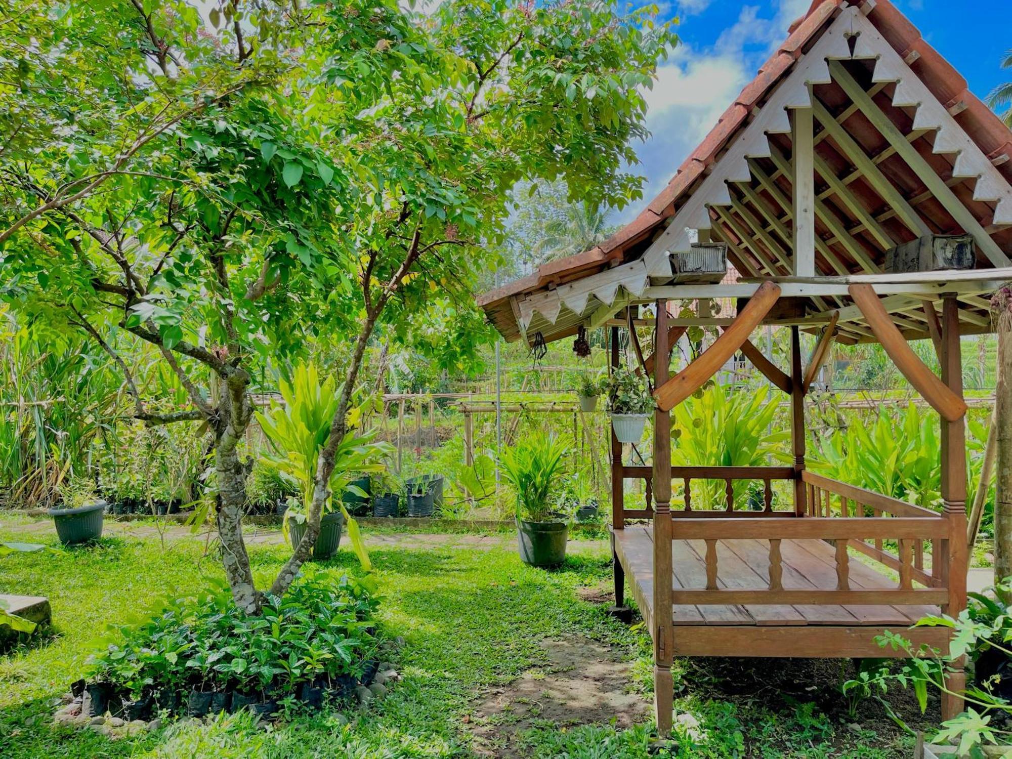 Pondok Isoke Bunggalow Banyuwangi  Extérieur photo